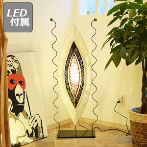 yLEDdtzlRv CeAƖ CeA fUCƖ fUC ԐڏƖ AWAƖ Ɩ JtF 킢 g tACg X^hCg R v 