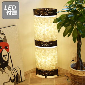 y|Cg5{zI[oVF CeAƖ CeA fUCƖ AWAƖ ԐڏƖ Ɩ k Ɩ rO Ɩ g tACg ][g LED Ɩ R V