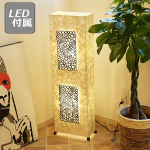 y|Cg5{z|hN CeAƖ LED CeA fUCƖ fUC AWAƖ ԐڏƖ Ɩ JtF tACg X^hCg X^h R v 