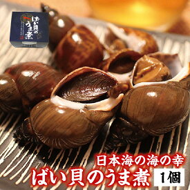 【家飲み・宅飲みのおつまみにも】大粒の身で味がしみてふっくら柔らか　ばい貝のうま煮　お酒の肴に　冷凍便 1個