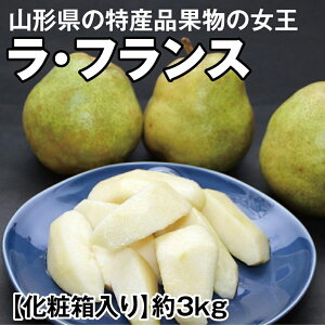 ʕ̏ƂĂ΂R`̓Yi@EtXimj3kg ϔ@11{`{@@R`@@m@@l@j