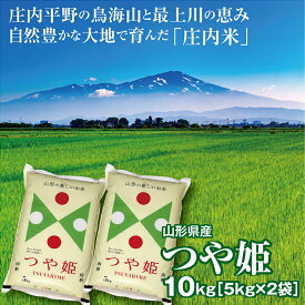 令和7年産 つや姫10kg（5kg×2袋） 山形県の米どころ庄内平野で育った庄内米　送料無料