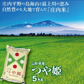 令和7年産 つや姫5kg 山形県の米どころ庄内平野で育った庄内米　送料無料　山形の米