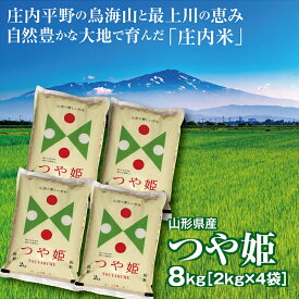 令和7年産 つや姫8kg（2kg×4袋） 山形県の米どころ庄内平野で育った庄内米　送料無料　山形の米　小袋