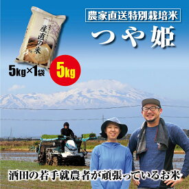 00％混じりっ気のない農家のお米　つや姫　5kg（5kg×1袋）米どころ山形庄内平野の農家直送のお米　令和7年産　山形の米