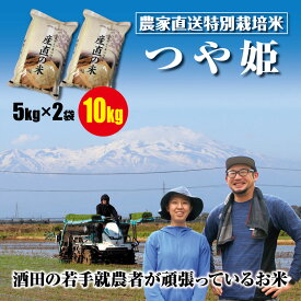 100％混じりっ気のない農家のお米　つや姫　5kgの小袋で2袋合計10kg（5kg×2袋）米どころ山形庄内平野の農家直送のお米　令和7年産　山形の米