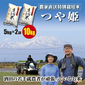 100％混じりっ気のない農家のお米　つや姫　5kgの小袋で2袋合計10kg（5kg×2袋）米どころ山形庄内平野の農家直送のお米　令和5年産