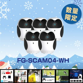 セキュリティカメラ WiFi対応ペットカメラ 見守りカメラ フルカラーナイトビジョン 防犯カメラ セキュリティカメラ 監視カメラ ベビーモニター ベビーカメラ 置き配監視用 フクロウ型 FG-SCAM04-WH