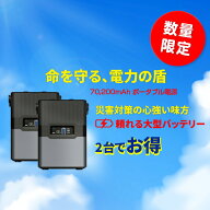 【地震、台風、津波…もしもの災害に】大容量 バッテリー 70,200mAh ポータブル電源 リチウム バッテリー…