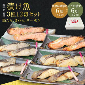 _500~N[|^̑₾AAT[ЂZbg