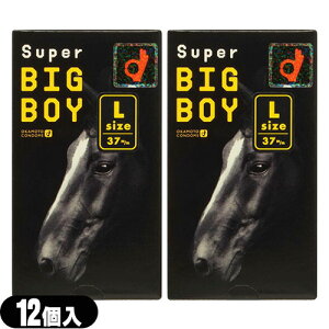 [({X) |Xg jDpRh[IJg X[p[rbO{[C(SUPER BIG BOY)(LTCY) 12x2ZbgC0267 - jɂ͗]T̑ΉKvB 