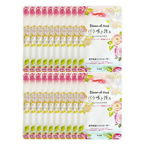 uŋzvulR|XvzeAjeB^Cvn[oGNXg o炫ւ b`tFCV}XN GKg[Y̍ (V[g}XN)20mL (H