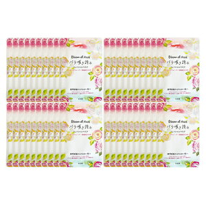 uŋzvulR|XvzeAjeB^Cvn[oGNXg o炫ւ b`tFCV}XN GKg[Y̍ (V[g}XN)20mL (H