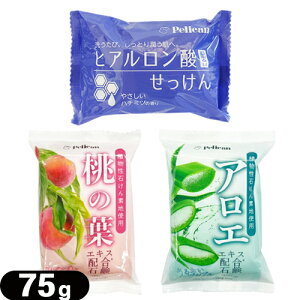 [({X) |Xg A΂fngpyJΌ CX`[\[v 75g x1 (̗tEAGEqA_I) - }ChȐ􂢏オ