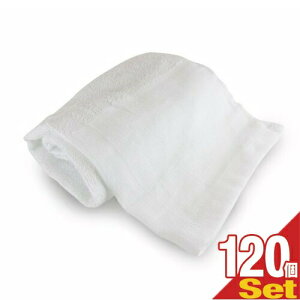 ŋzΉizeAjeBƖp tFCX^I nt 100% 160 34x85cm x120Zbg(10_[X)ysmtb-sz