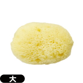 ◆｢最強翌日配送対応商品｣｢天然スポンジ｣ユタカ 天然海綿スポンジ(フェイススポンジ) 大(約5~7cm)/(NATURAL SEASPONGE ナチュラル・シースポンジ) - お肌に優しい海からうまれた天然海綿スポンジ。 ※完全包装でお届け致します。