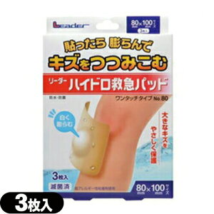 lR|XnChRChfJnp[_[nCh~}pbh(3) ^b`^Cv No.80(80x100mm) ysmtb-sz