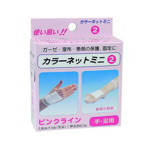 ��L�k�l�b�g��ѣ�A�V�X�g(ASSIST) �A�V�X�g �J���[�l�b�g�~�j 2�� 1.8cmx2.7m �s���N