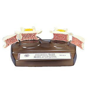 e傤ǖ͌^(SR-326)ysmtb-sz