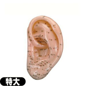 ��l�̖͌^����͌^ - �o�����\������Ă��鎨�͌^(22cm×12cm)