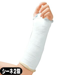 ΍pMvXAPA(ALCARE) vXMvX (Plasrun Gyps) V[l2 15.0cmx90cm 50 (10071) - MuXBK[[zɂAו̃fOɗDĂ܂B̐ZA