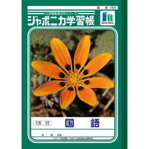 yzW|jJwK B5 JL-13-1  15s m[gy[5܂Łz