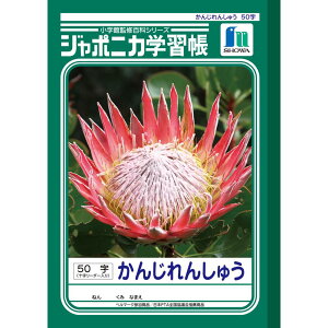 yzW|jJwK B5 JL-48 񂶂񂵂イ50{ m[gy[5܂Łz