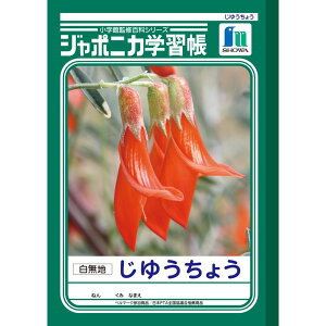 yzW|jJwK B5 JL-72 䂤傤 n m[gy[5܂Łz