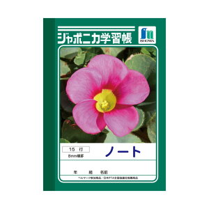 yzW|jJwK A6 JB-1 m[g 15sy[5܂Łz