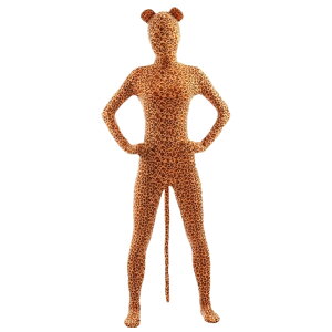 Sg^Cc  [u g qE lp Ã^Cc RXvߑ e͂ƐLk RX`[ nEC nECRX