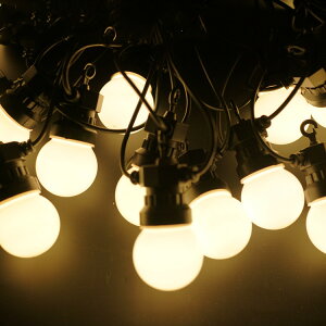 LEDC~l[VCg h d24v LEDdG50` {[ 10m20d XgO NX}X胉Cg  Cxg p[eB[ Op