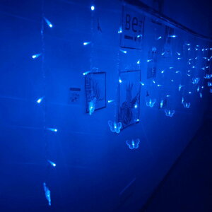 LEDC~l[VCg J[eCg XNX}XCg Xmas Op p[eB[ nEB  Cxg  킢 