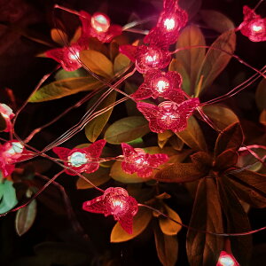 LEDC~l[VCg  NX}XCg XgOCg `[t fR[V Xmas  ͋C