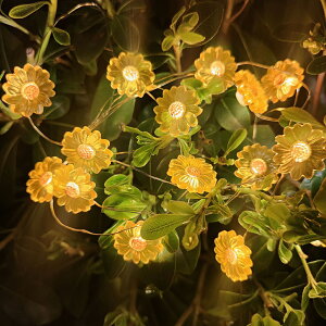 LEDC~l[VCg Ђ܂ NX}XCg XgOCg fR[V Xmas  ͋C