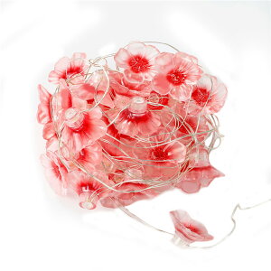 LEDC~l[VCg  XgOCg tV[Y 3m30led dr fR[V  ͋C