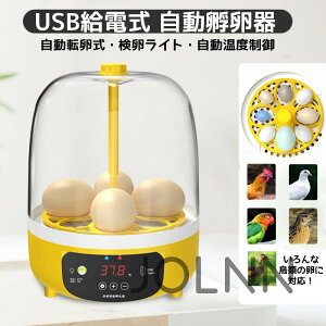 鳥 小動物用ペットグッズ 孵化器」の人気商品一覧・価格比較 - 価格.com