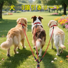 犬 3頭引きリード ワンダーフィット 多頭飼い 絡まない 取り外し可 リード 増減できる 中型犬 小型犬 迷子防止 脱走防止 散歩 アウトドア お出かけ