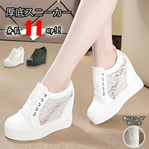 C V[Y 11cm gAbv fB[X Xj[J[ [XAbv ҂ݏグ EH[LO _bhXj[J[ VX[ tďH~ ۉ ʋC ʊw ʋ r wȂ