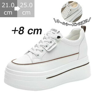  Xj[J[ 8cm 6cmq[ gAbv fB[X y U[ bV [Jbg Cq[ EH[LOV[Y tbgV[Y ʋC ɂ RtH[g C