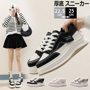  Xj[J[ fB[X 5cm Ȃ Sn y ʋC ϋv ~ fB[XV[Y V[Y EH[LOV[Y ؍ gAbv   ₷ r