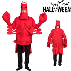 nEB RXv ʔ uX^[ UKj   RX`[ j  Y fB[X jZbNX l Jj Gr ߑ 낢 Co ] VN 