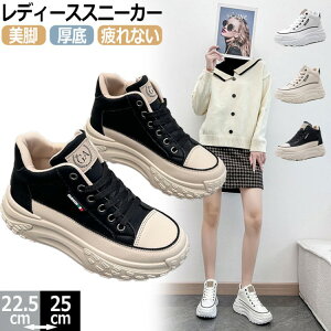 Xj[J[ y fB[X Xj[J[ X|[c  C EH[LOV[Y ₷  Ȃ _炩 ʊw ʋ gAbv ɂ r ~