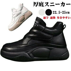 Xj[J[ fB[X Xj[J[ }WbNe[v EH[LOV[Y t@bV ʋC Ȃ ₷ gAbv L r r ~߂ƑϖՐ