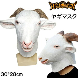 nEB   Rr  }XN M̂ z[ ebNX  j  RXv p[eB[ 蕨 jp Be l Halloween Cxg lp