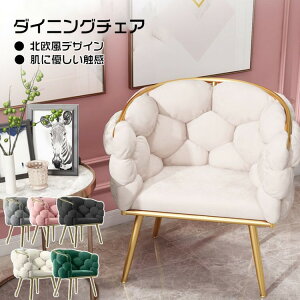 _CjO`FA  ɂ ᔽ }bgt t hbT[ ֎q vbVn xxbg r S[hr ؍ k v[g 킢 CeA