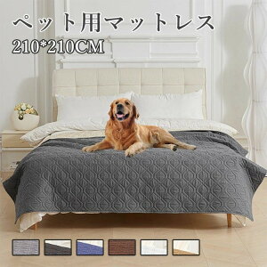 ybg p h h }bg  R h~ \t@ xbh ی Jo[  \ i f  L Ή ~ t hCu AEghA V[c