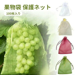 Ԃǂ 񂲑 ʎی ʕlbg 100 h lbg ʕ یlbg 悯 悯lbg т  C`S Ԃǂ JX΍ ʎ uhEp ʎphlbg