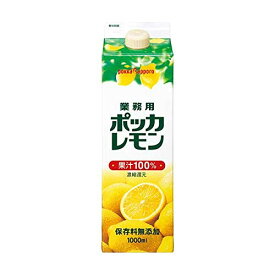 ポッカサッポロ ポッカレモン 業務用 [紙パック] 1L 1000ml x 6本[ケース販売][4ケースまで同梱可能][ポッカサッポロ/飲料/日本/GC95]