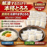 冷凍 やま芋 40g×20個 小分け 個包装 業務用 とろろ 山芋 山かけ とろろご飯 そば うどん 時短 簡単 食…
