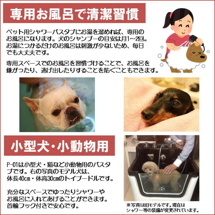 楽天市場 ペット用 シャワーバスタブ P 01d ダックスフンド ペットバスタブ 小型犬 猫 小動物 ペット専用 シャワースペース お風呂 ドッグバス トリミングサロン シャワープランニング楽天市場店